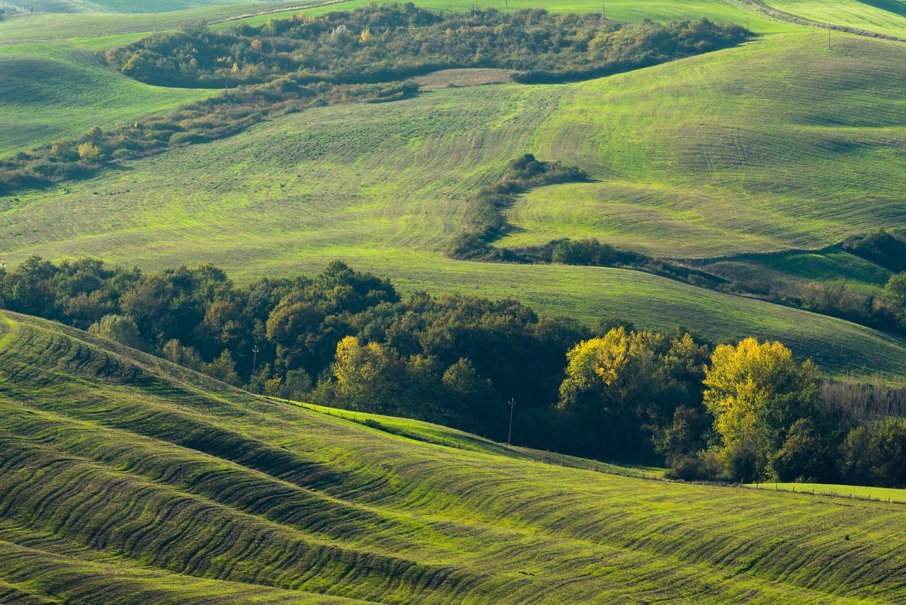 Вілла Podere Ampella Сан-Джованні-д'Ассо Екстер'єр фото
